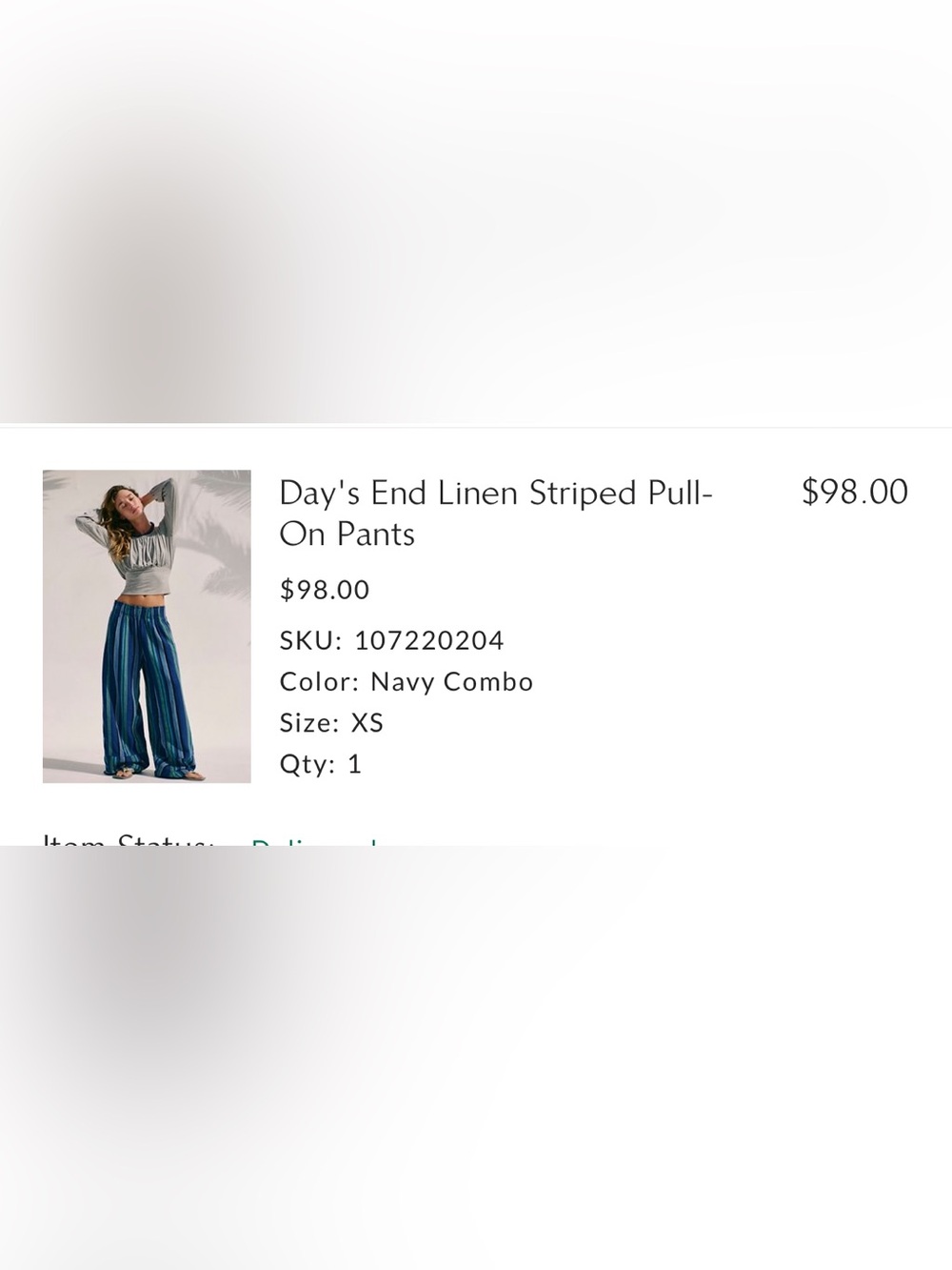 NWOT Free People Blue Striped Wide-Leg Pants - Picture 15 of 15